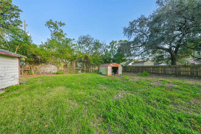 view of yard featuring a storage unit