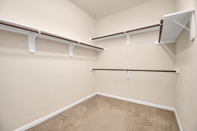 walk in closet featuring carpet floors