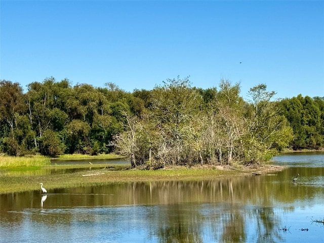 113 Cottonwood Rd, Trinity, TX 75862 - water view with a heavily wooded area