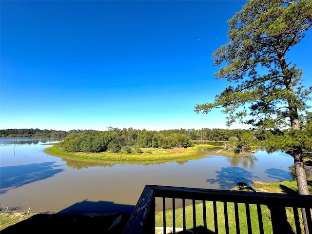 113 Cottonwood Rd, Trinity, TX 75862 - water view