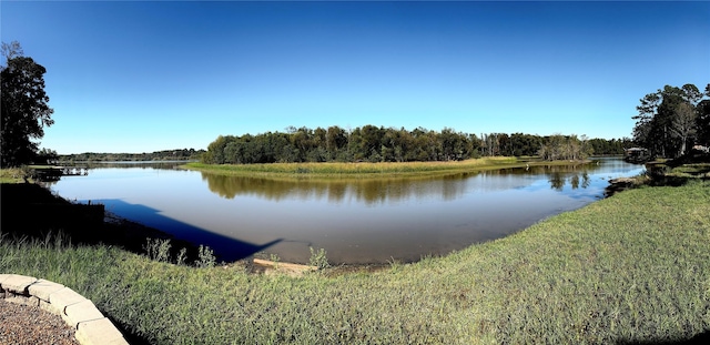 113 Cottonwood Rd, Trinity, TX 75862 - water view with a heavily wooded area