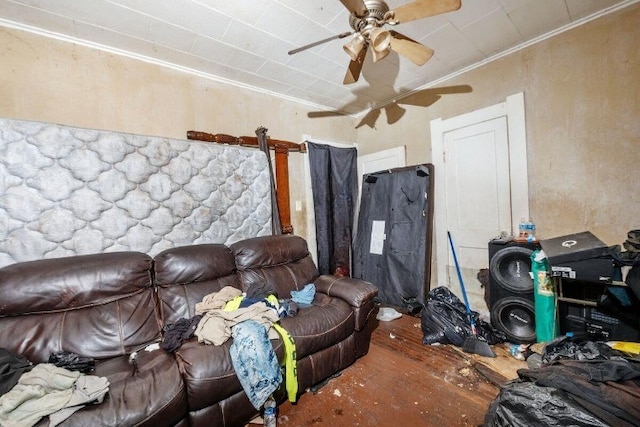 living room with ceiling fan and crown molding