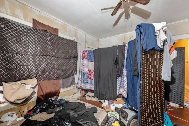 miscellaneous room featuring ceiling fan