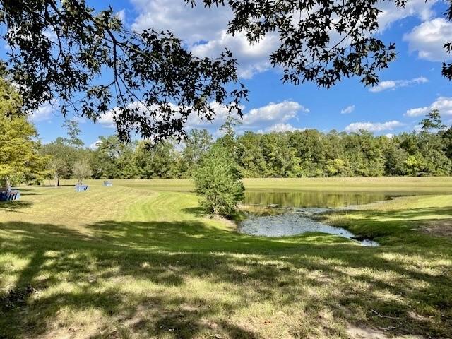 view of home's community with a lawn and a water view