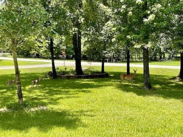 view of home's community featuring a yard