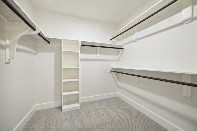 walk in closet with light carpet