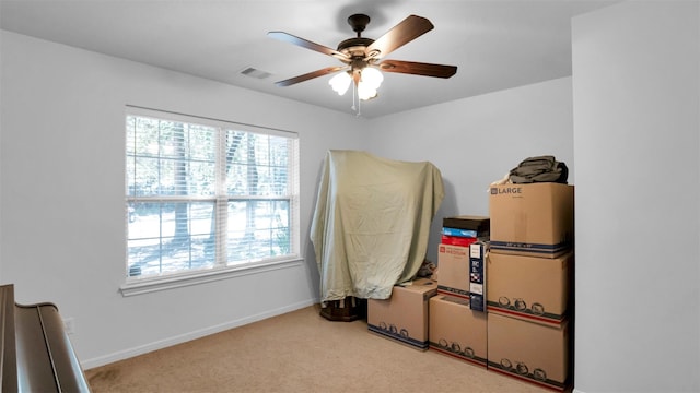 storage room featuring ceiling fan