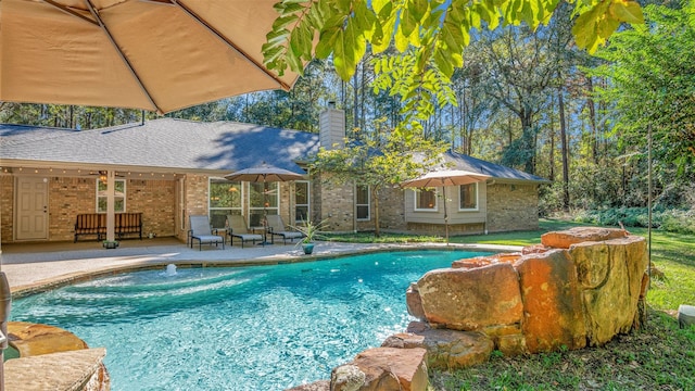 view of swimming pool with a patio