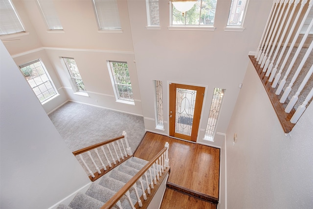 foyer featuring a towering ceiling, a healthy amount of sunlight, and wood-type flooring