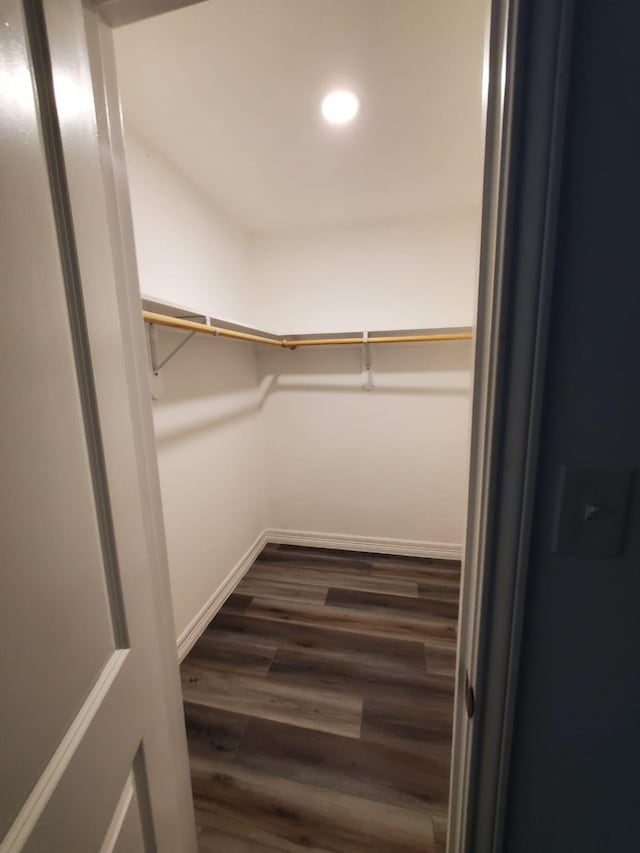 spacious closet with dark wood-type flooring