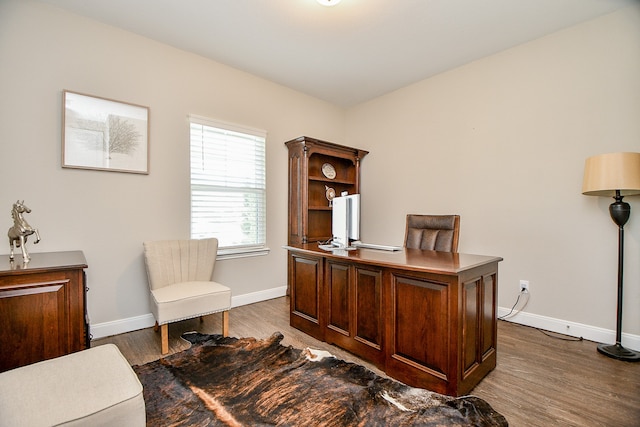 office area featuring dark hardwood / wood-style flooring