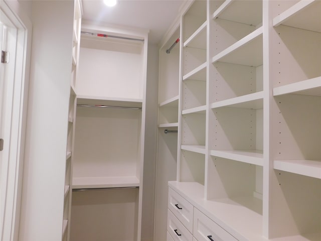 view of spacious closet