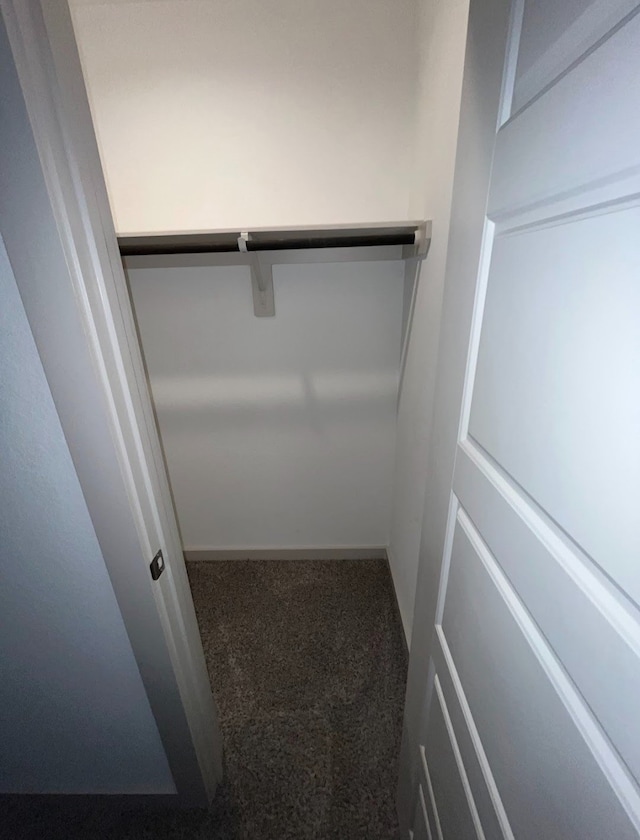 walk in closet with carpet floors