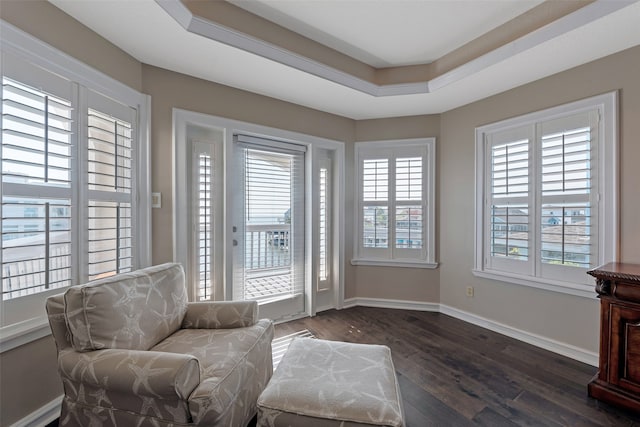 living area with dark wood-type flooring and a tray ceiling