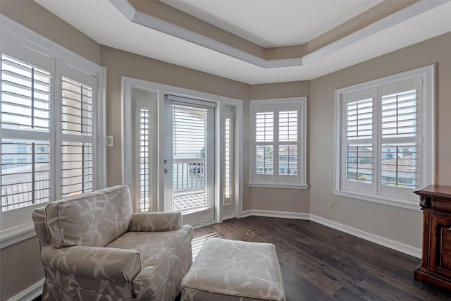 151 Bamaku Bnd, Tiki Island, TX 77554 - living area featuring dark wood-style floors, baseboards, and a raised ceiling