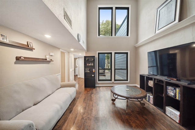 living room with a towering ceiling and dark hardwood / wood-style floors