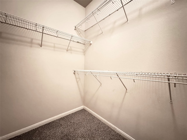 spacious closet with carpet floors