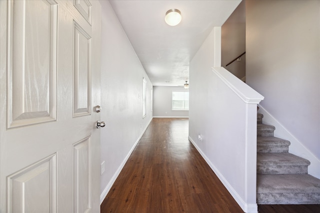 hall featuring dark wood-type flooring