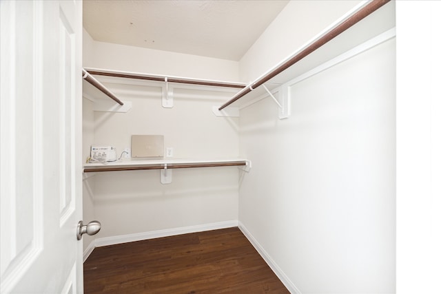 spacious closet featuring dark wood-type flooring