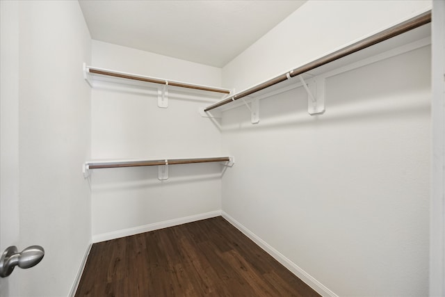 walk in closet with dark wood-type flooring