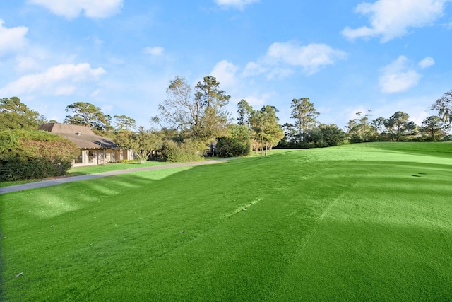 view of community with a lawn