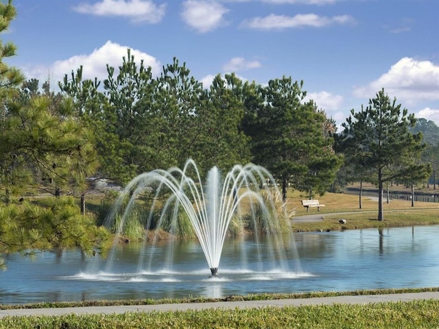 view of community featuring a water view