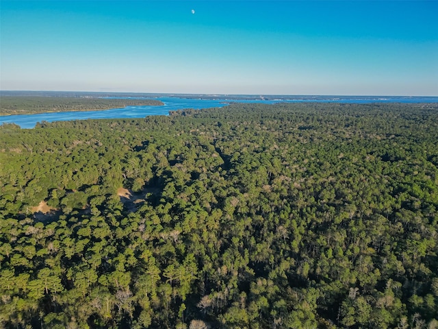 TBD Lake Mount Pleasant Rd, Montgomery, TX 77356