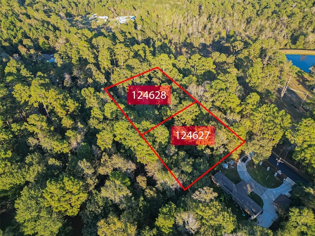 TBD Lake Mount Pleasant Rd, Montgomery, TX 77356