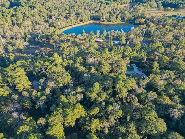 TBD Lake Mount Pleasant Rd, Montgomery, TX 77356