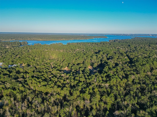 TBD Lake Mount Pleasant Rd, Montgomery, TX 77356