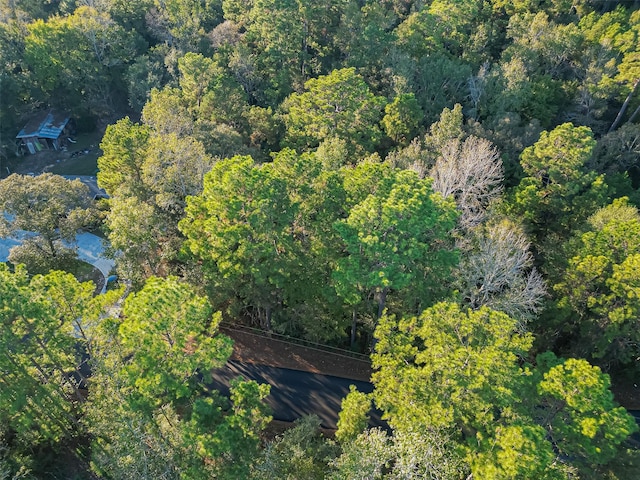 TBD Lake Mount Pleasant Rd, Montgomery, TX 77356