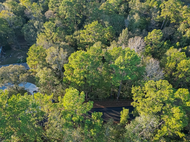 TBD Lake Mount Pleasant Rd, Montgomery, TX 77356