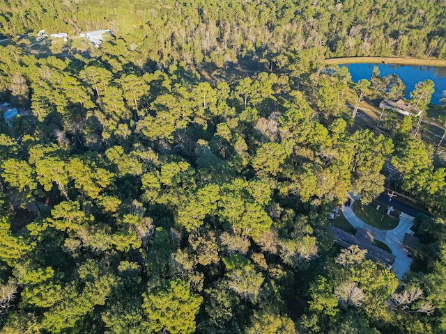 TBD Lake Mount Pleasant Rd, Montgomery, TX 77356