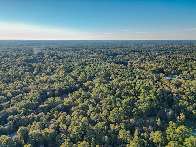TBD Lake Mount Pleasant Rd, Montgomery, TX 77356