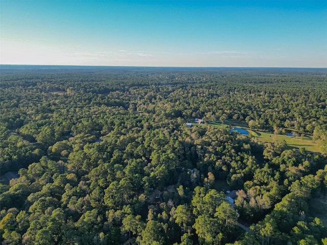 TBD Lake Mount Pleasant Rd, Montgomery, TX 77356