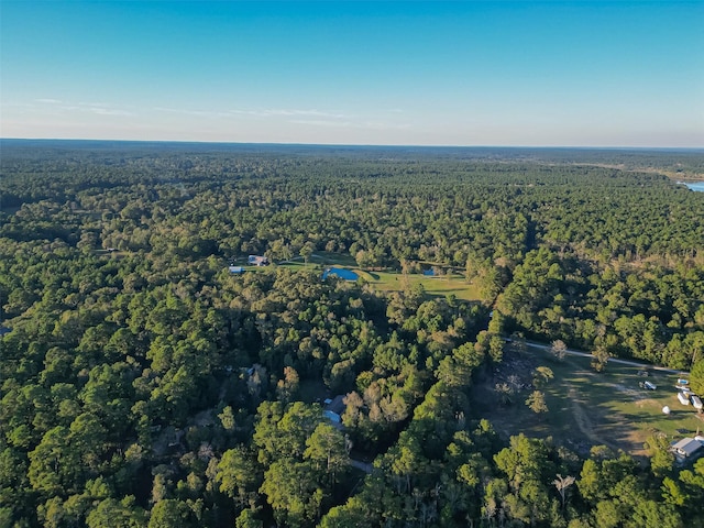 TBD Lake Mount Pleasant Rd, Montgomery, TX 77356