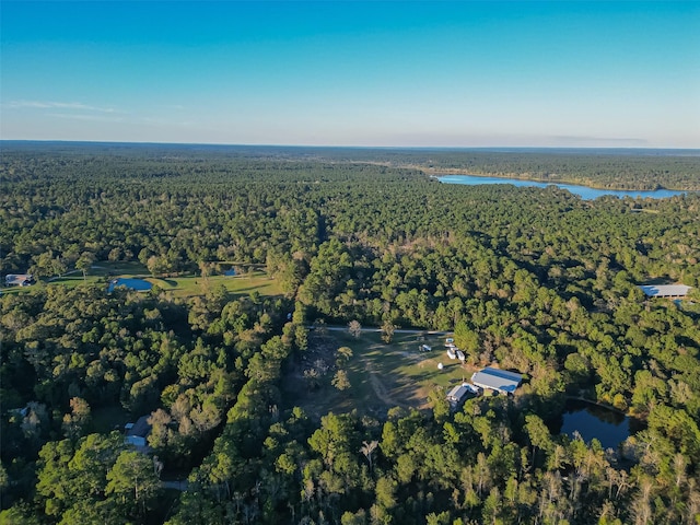 TBD Lake Mount Pleasant Rd, Montgomery, TX 77356