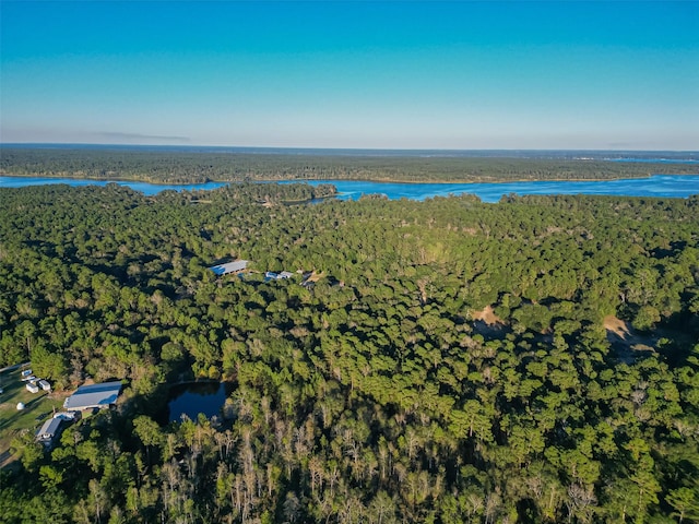TBD Lake Mount Pleasant Rd, Montgomery, TX 77356