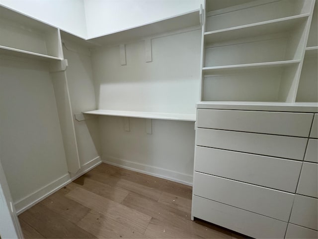 spacious closet with light wood-type flooring