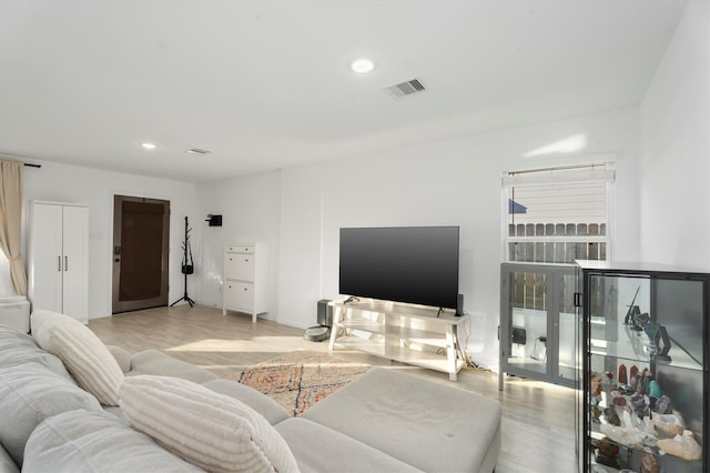 living room featuring light wood-type flooring