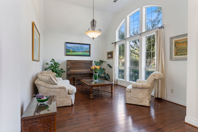 living area featuring dark hardwood / wood-style floors, plenty of natural light, and ornamental molding