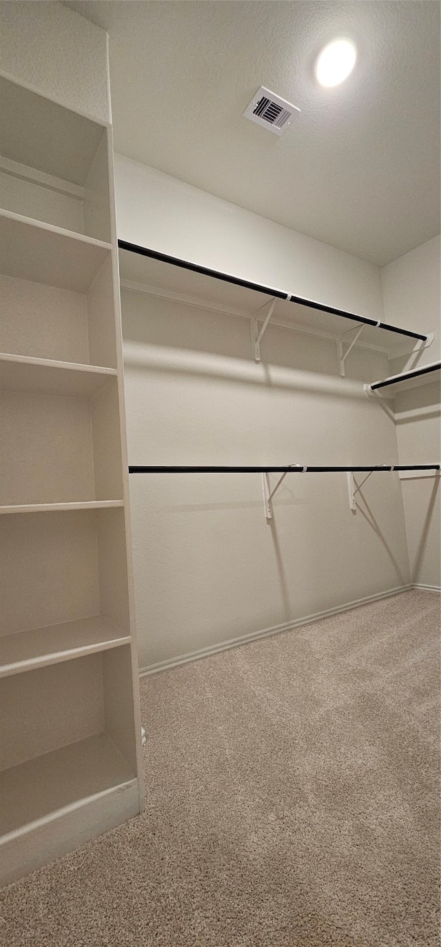 spacious closet featuring carpet flooring