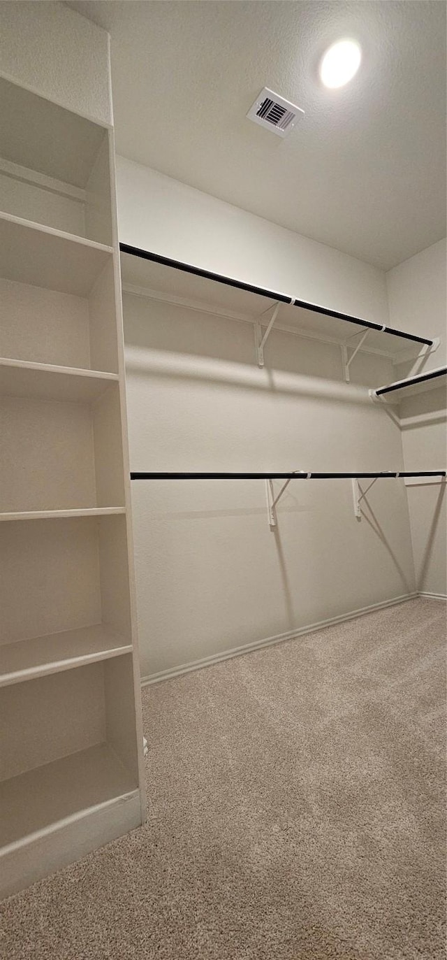 21258 Catalina Palm Dr, Cypress, TX 77433 - spacious closet with carpet flooring