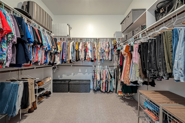 spacious closet featuring carpet