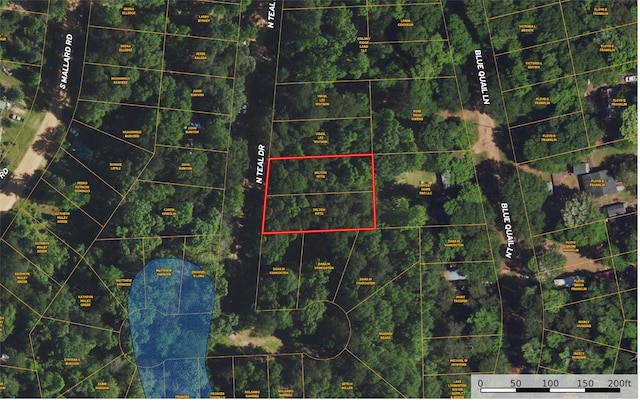 TBD N Teal Dr, Coldspring TX, 77331 land for sale