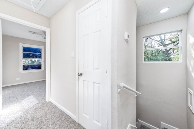 hallway featuring carpet flooring and a textured ceiling