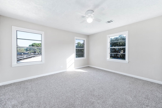 empty room featuring ceiling fan, carpet, and a textured ceiling