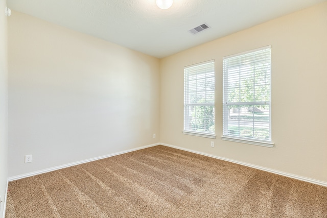 spare room with carpet