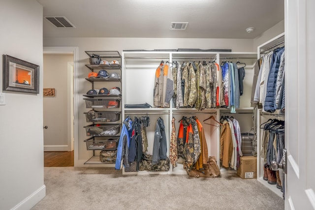 spacious closet with carpet