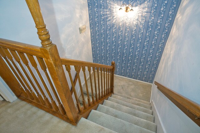 stairs with carpet flooring